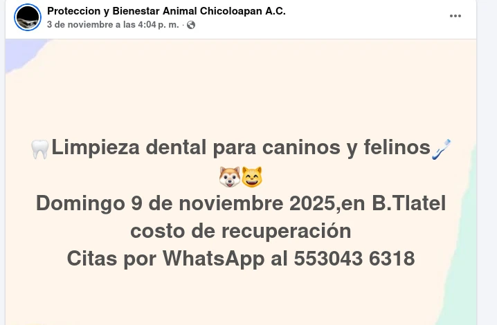 Protección y Bienestar Animal de Chicoloapan A.C.