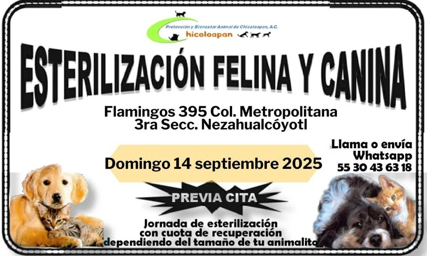 Protección y Bienestar Animal de Chicoloapan A.C.